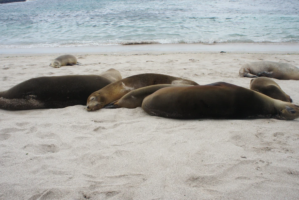 Discovering Puerto Baquerizo Moreno: An Introduction to the Enchanting City and Its Weather