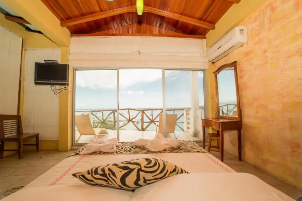 Hotel Miconia 10