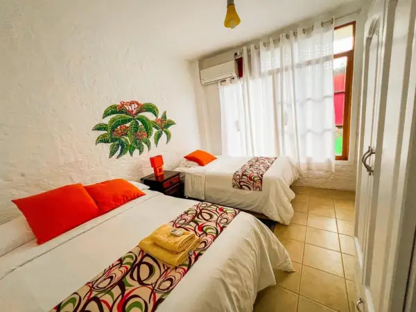 Hotel Miconia 4