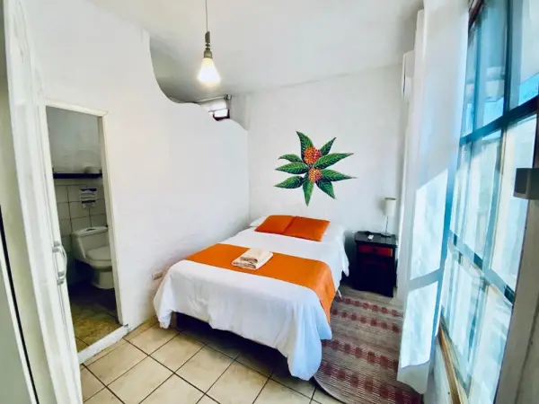 Hotel Miconia 7