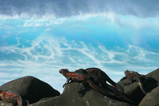 Tour image 2