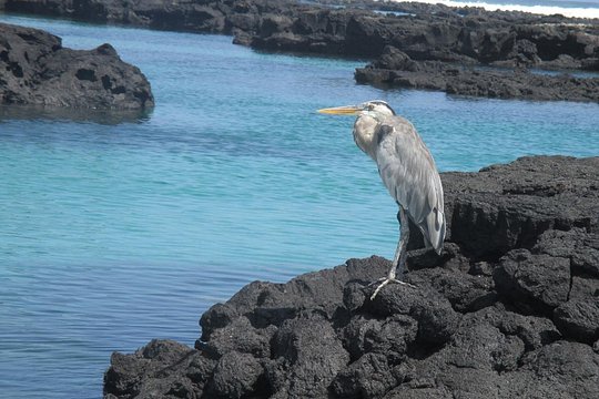 Tour image 6