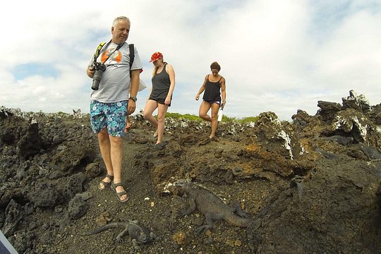 Tour image 6