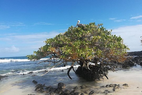 Tour image 6