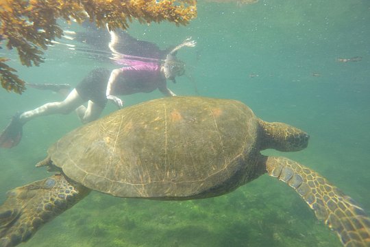 Tour image 5