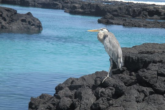 Tour image 6