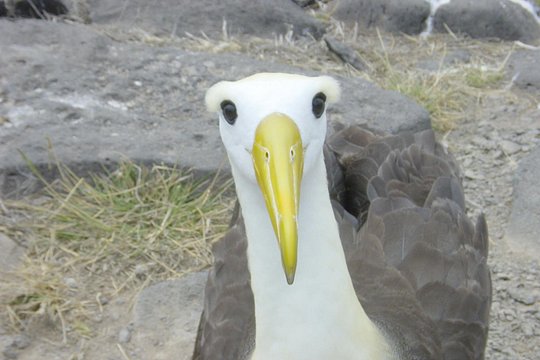 Tour image 4