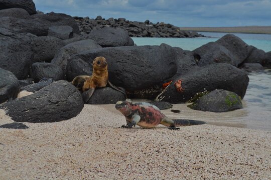 Tour image 5