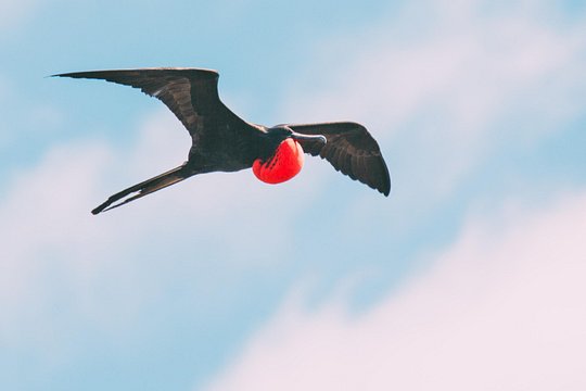 Tour image 12